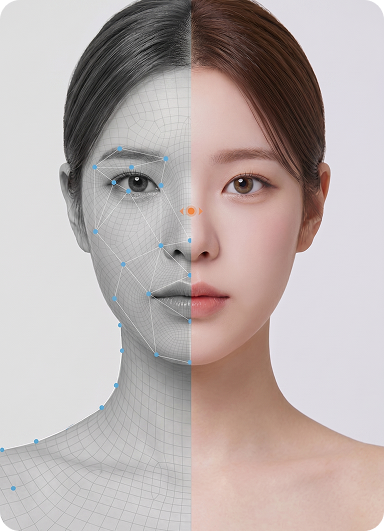 얼굴 인식 및 변환